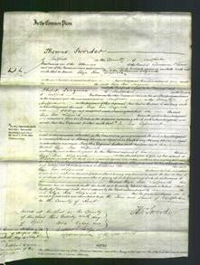 Court of Common Pleas - Eliza Rose Sedgwick-Original Ancestry