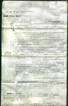 Court of Common Pleas - Sarah Isabella Parkinson-Original Ancestry