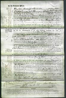 Court of Common Pleas - Emily Ann Handson-Original Ancestry