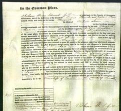 Court of Common Pleas - Margaret Lace-Original Ancestry