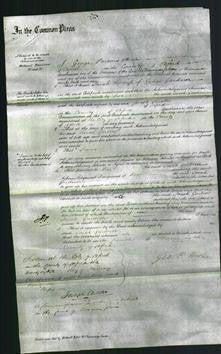 Court of Common Pleas - Sarah Gardner-Original Ancestry