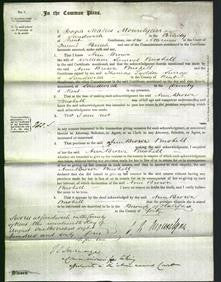 Court of Common Pleas - Emma Brown Bushell-Original Ancestry