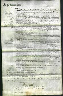 Court of Common Pleas - Mary Patterson-Original Ancestry
