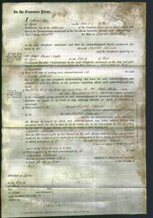 Court of Common Pleas - Elizabeth Robinson-Original Ancestry