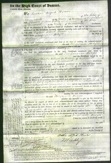 Court of Common Pleas - Temperance Hodges-Original Ancestry