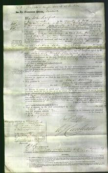 Court of Common Pleas - Eliza Housley-Original Ancestry