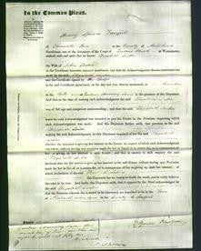 Court of Common Pleas - Elizabeth Lester-Original Ancestry