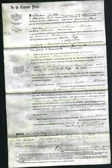 Court of Common Pleas - Gemimi Catherine Harrison-Original Ancestry