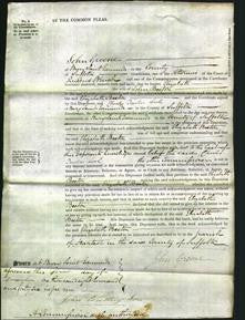 Court of Common Pleas - Elizabeth Beeton-Original Ancestry