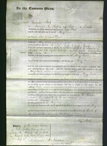 Court of Common Pleas - Mary Dawe-Original Ancestry
