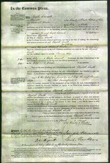 Court of Common Pleas - Elizabeth Smith-Original Ancestry