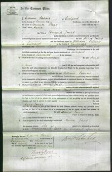 Court of Common Pleas - Anna Jones-Original Ancestry