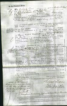 Court of Common Pleas - Elizabeth Hughes-Original Ancestry