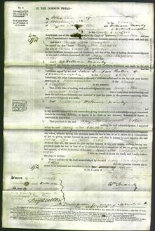 Court of Common Pleas - Mary Ann Elizabeth Cooper-Original Ancestry