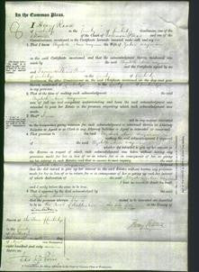 Court of Common Pleas - Elizabeth Ann Wayman-Original Ancestry