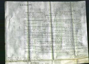 Court of Common Pleas - Frances Sophia Fairclough-Original Ancestry