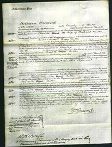 Court of Common Pleas - Charlotte Butler-Original Ancestry