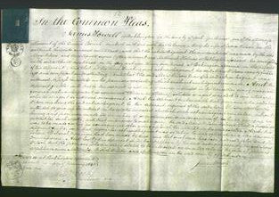 Court of Common Pleas - Mary Wilson-Original Ancestry