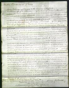 Court of Common Pleas - Charlotte Dunnett-Original Ancestry