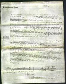 Court of Common Pleas - Caroline Louisa Dickinson-Original Ancestry