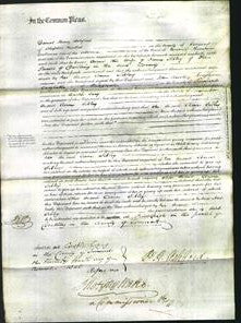 Court of Common Pleas - Ann Sibley-Original Ancestry