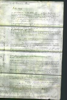 Court of Common Pleas - Catherine Lockhart-Original Ancestry