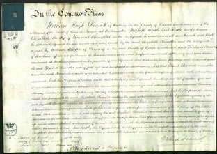 Court of Common Pleas - Elizabeth Chandler-Original Ancestry