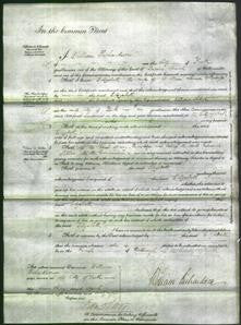 Court of Common Pleas - Elizabeth Whincup-Original Ancestry