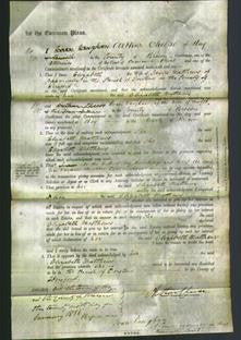 Court of Common Pleas - Elizabeth Matthews-Original Ancestry