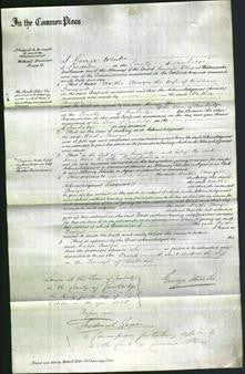 Court of Common Pleas - Martha Bowyer Barnyard-Original Ancestry