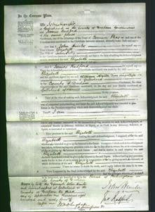 Court of Common Pleas - Elizabeth Petty-Original Ancestry