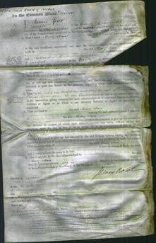 Court of Common Pleas - Mary Ann Thomas-Original Ancestry