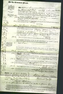 Court of Common Pleas - Ruth Crooks-Original Ancestry