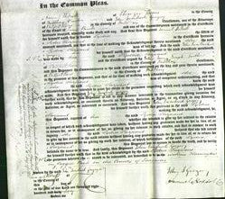 Court of Common Pleas - Lydia Sarjeant-Original Ancestry