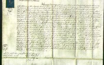 Court of Common Pleas - Sarah Rowland-Original Ancestry