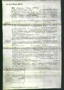 Court of Common Pleas - Ann Eliza Brown-Original Ancestry