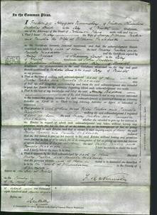 Court of Common Pleas - Mary Parker and Pamela Maddocks-Original Ancestry