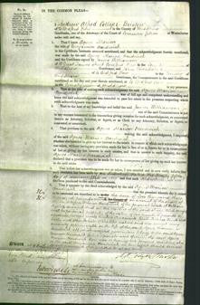 Court of Common Pleas - Agnes Marion Hardwick-Original Ancestry