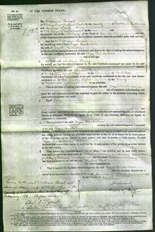 Court of Common Pleas - Eliza Nicholson-Original Ancestry