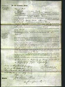 Court of Common Pleas - Sarah Brown-Original Ancestry