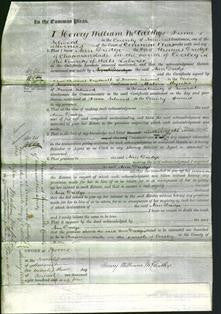 Court of Common Pleas - Ann Dredge-Original Ancestry