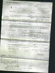 Court of Common Pleas - Catherine Millett-Original Ancestry