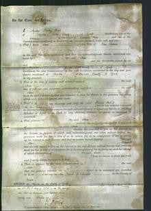 Court of Common Pleas - Ann Janson-Original Ancestry