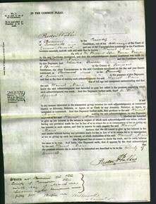 Court of Common Pleas - Harriet Maria Vivian-Original Ancestry