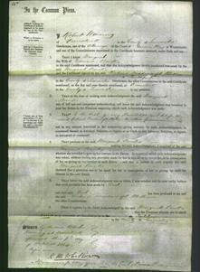 Court of Common Pleas - Margaret Banks-Original Ancestry