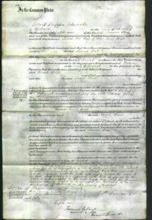 Court of Common Pleas - Sarah Wall-Original Ancestry