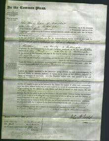 Court of Common Pleas - Sukey Harvey-Original Ancestry