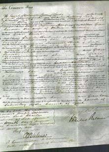 Court of Common Pleas - Grace Cawson-Original Ancestry