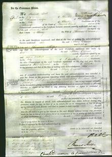 Court of Common Pleas - Mary Owens-Original Ancestry