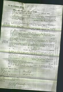 Court of Common Pleas - Caroline Warren-Original Ancestry